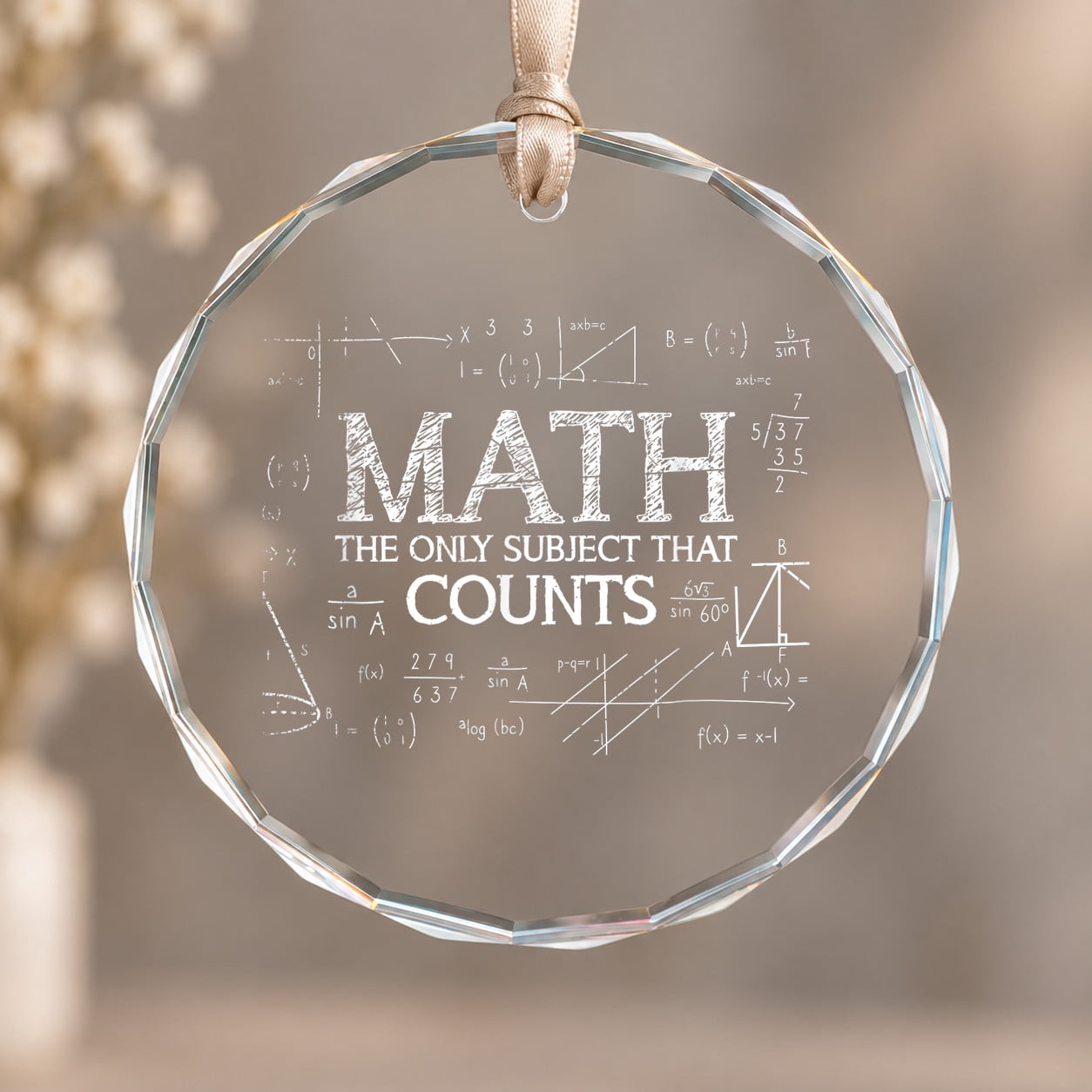 Science Nerd Math The Only Subject That Counts Math Theme Ornament ...