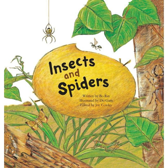 Science Storybooks: Insects and Spiders: Insects and Spiders (Hardcover)