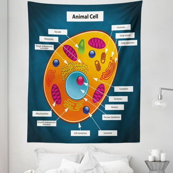 Science Tapestry, Science at Cell of an Animal Colorful Display Studies Nucleus, Fabric Wall Hanging Decor for Bedroom Living Room Dorm, 5 Sizes, Multicolor, by Ambesonne