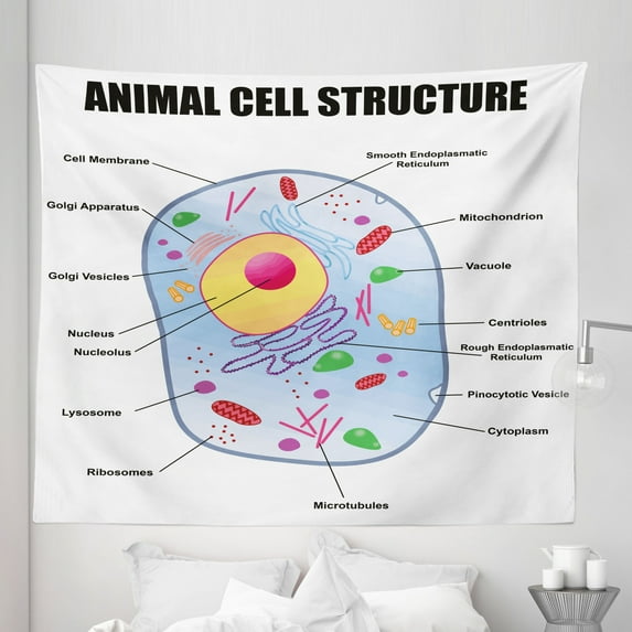 Science Tapestry, Microbiology Theme Animal Cell Structure Genetic Research Study Science, Fabric Wall Hanging Decor for Bedroom Living Room Dorm, 5 Sizes, Multicolor, by Ambesonne