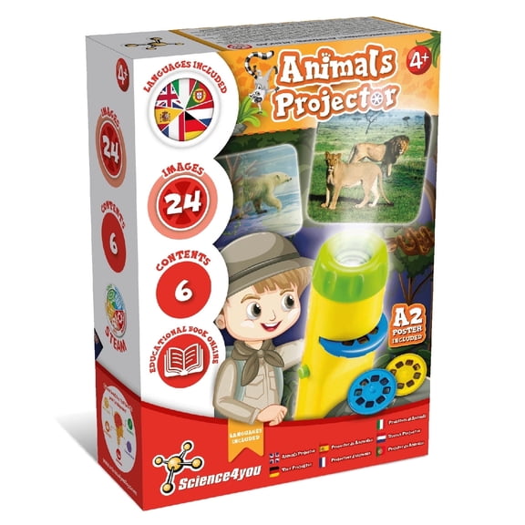 Mini Science Poster Kid Flashlights In Toys