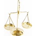 thumbnail image 1 of ScienceWiz - Balance Scale (1-100g), 1 of 1