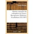 thumbnail image 1 of Sciences: Histoire Naturelle Des Coléoptères de France. Brevipennes, Pédériens, Evesthétiens (Paperback), 1 of 1