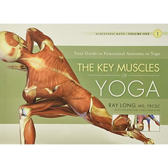 Pre-Owned The Key Muscles of Yoga (Paperback) by Ray Long