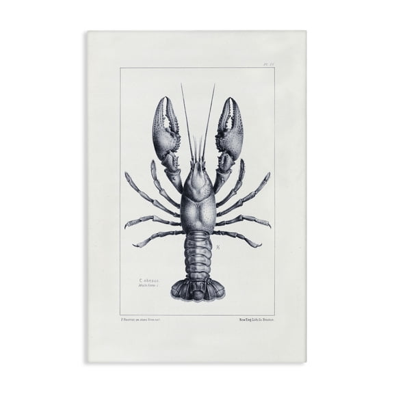 Stupell Industries Scientific Lobster Specimen Canvas Wall Art, design by Tina Higgins Designs Inc., 45 x 30