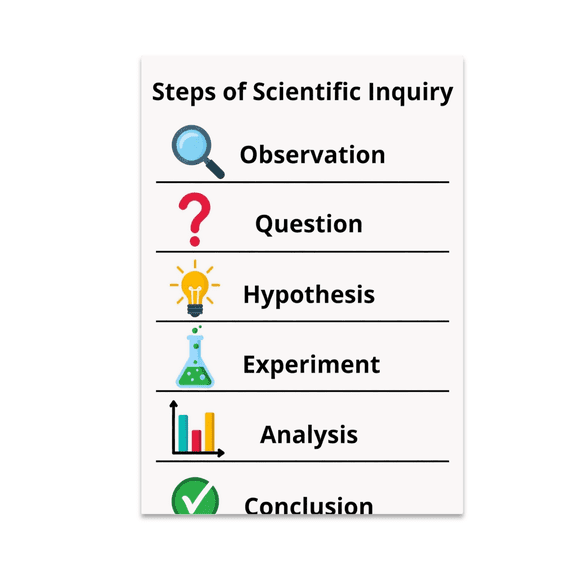 Scientific Method Infographic Poster - Science Enthusiast - 13x19 Poster Print
