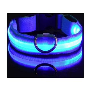 Glow in the 2024 dark dog collar walmart