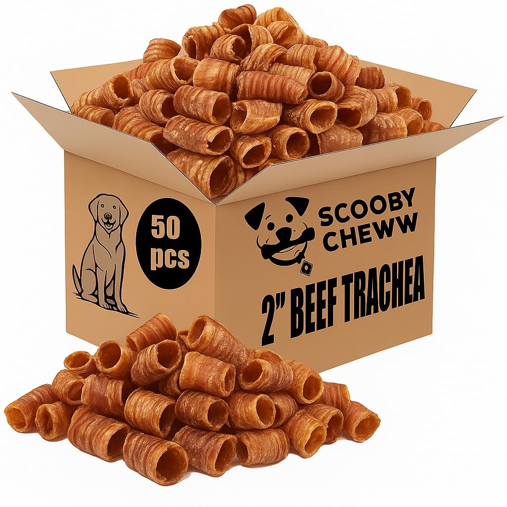 Scooby Chews 50 Count Beef Trachea for Dog, 2” 100% Natural Pet Treats, Long Lasting Crunchy Dog Chews, Single Ingredient Sticks, Promotes Joint, Dental Health, High Protien Snacks Pack of 1