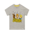 thumbnail image 1 of Scooby Doo Boys T-Shirt Gray Sizes 4-12, 1 of 2