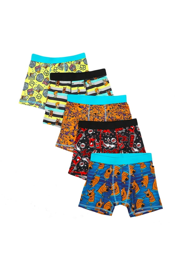 Scooby Doo Classic Cartoon Characters Boys Underwear 5pk Boxer Briefs Set- Size 10