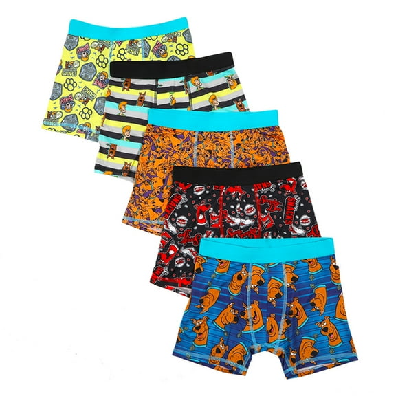 Scooby Doo Classic Cartoon Characters Boys Underwear 5pk Boxer Briefs Set- Size 8