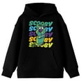thumbnail image 1 of Scooby-Doo Colorful Repeating Name Youth Boys Black Hoodie-XL, 1 of 3