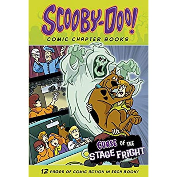 Pre-Owned Curse of the Stage Fright (Hardcover) by Steve Korté