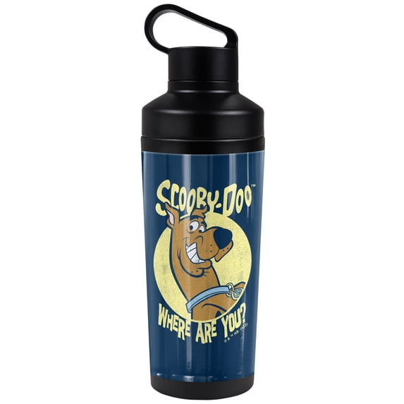 Scooby Doo! Official Where Are You 18 oz Insulated Water Bottle, Leak Resistant, Vacuum Insulated Stainless Steel with 2-in-1 Loop Cap