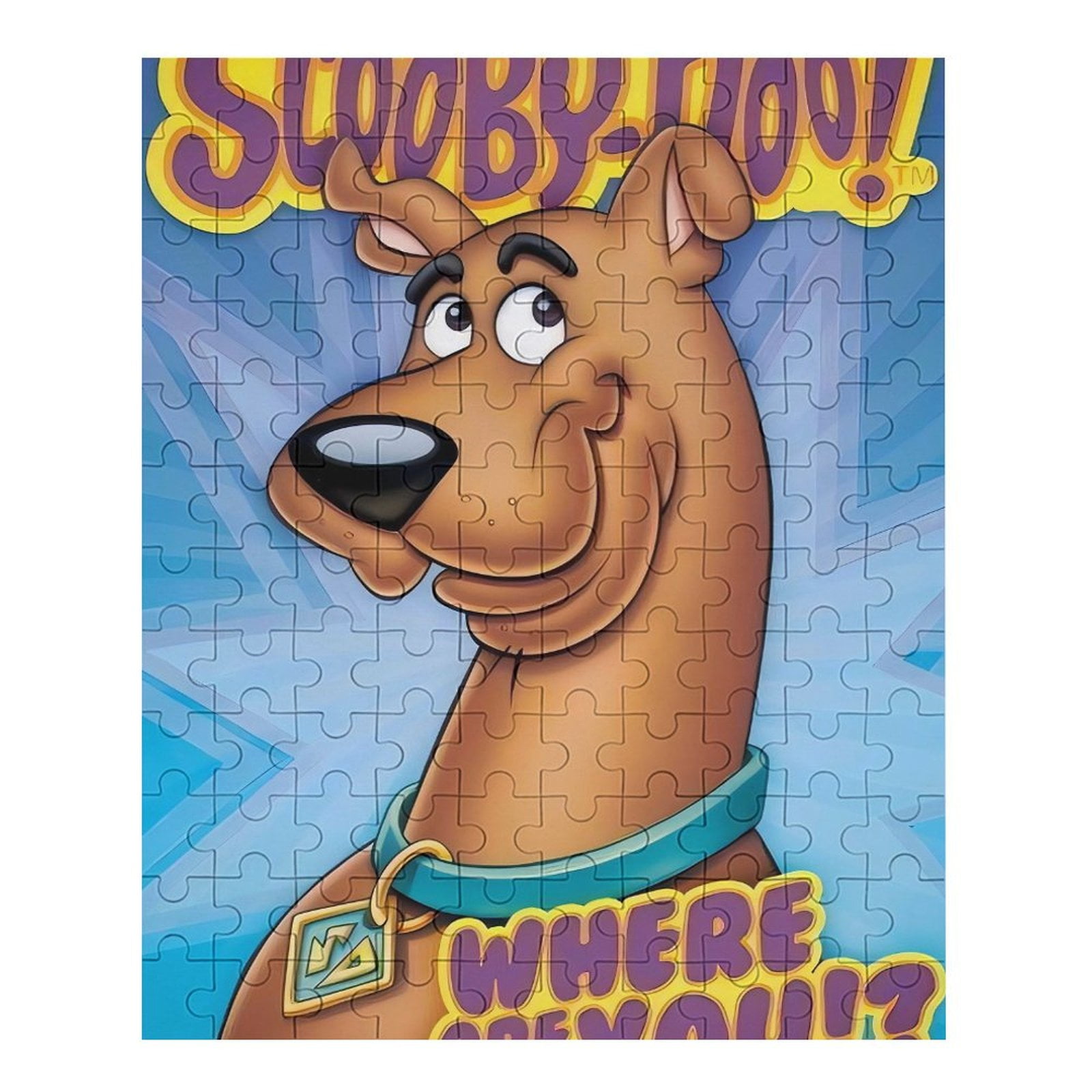 Scooby-Doo Puzzles for Kids Interactive Brain Teasers for Adults Educational Toys and Games 70 ...