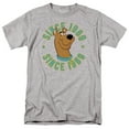 thumbnail image 1 of Scooby Doo - Scooby 1969 - Short Sleeve Shirt - XX-Large, 1 of 2