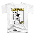 thumbnail image 1 of Scooby Doo - Scooby Square - Toddler Short Sleeve Shirt - 3T, 1 of 2