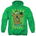 thumbnail image 1 of Scooby Doo  T Shirt Adult Pullover Hoodie Sweatshirt Kelly Green, 1 of 1