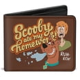 thumbnail image 1 of Scooby Doo Wallet, Bifold, Scooby Doo and Shaggy Scooby Ate My Homework Pose Brown, Vegan Leather, 1 of 1