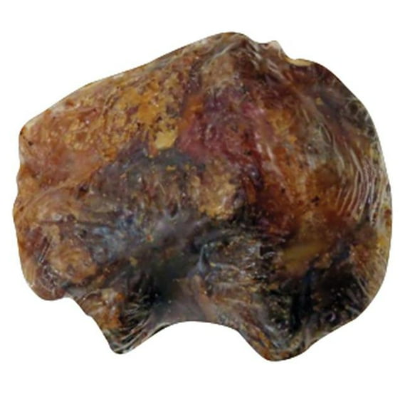 Scoochie Pet Products 791 Meaty Natural Knee Cap Bone