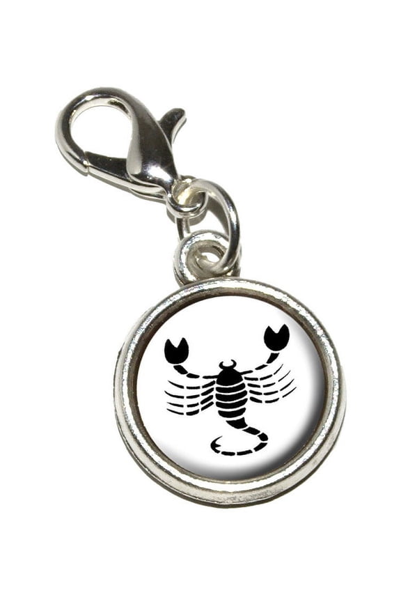 Scorpio The Scorpion Zodiac Horoscope Charm