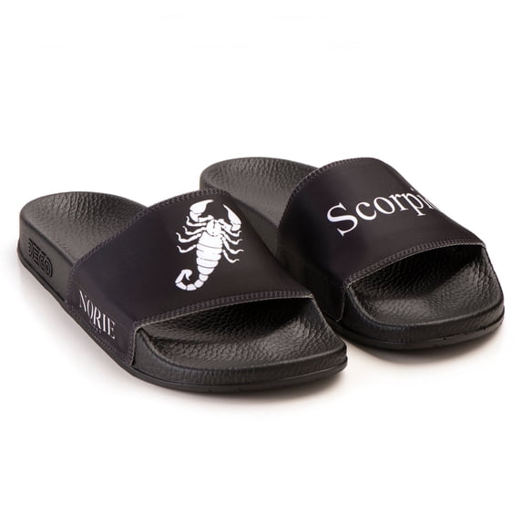 Scorpio Zodiac Slides