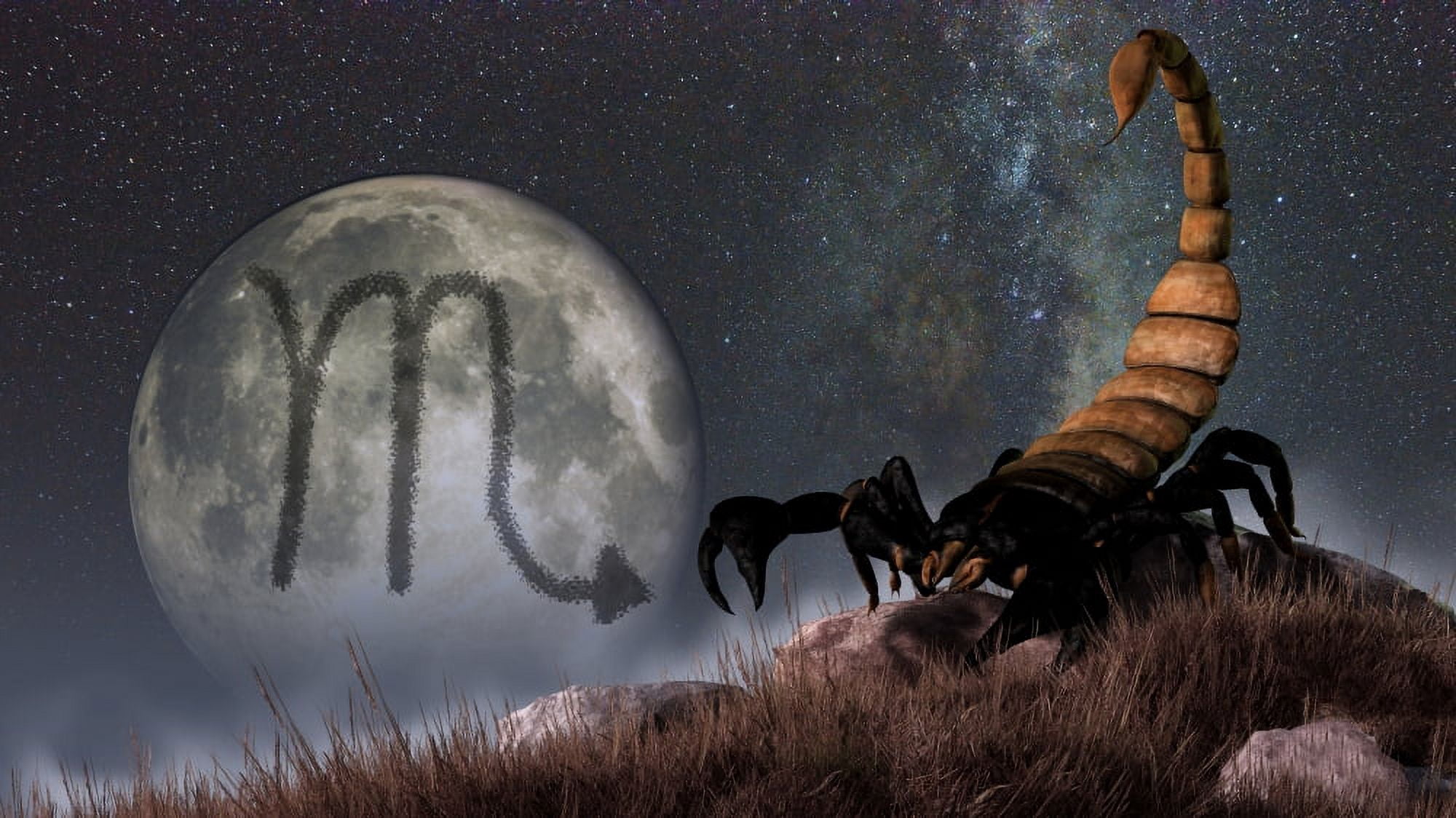 Scorpio is the eighth astrological sign of the Zodiac Canvas Art - Daniel EskridgeStocktrek Images (19 x 11)