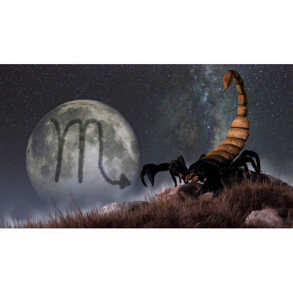 Scorpio is the eighth astrological sign of the Zodiac Canvas Art - Daniel EskridgeStocktrek Images (38 x 21)
