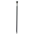 thumbnail image 1 of Scorpion Cane, 1 of 1