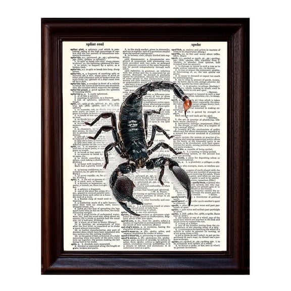 Scorpion - Dictionary Art Print Printed On Authentic Vintage Dictionary Book Page - 8 x 10.5