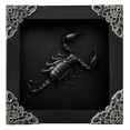 thumbnail image 1 of Scorpion Display Real Frame Shadow Box Insect Art Wall Decor Curiosity Cabinet Nature Decoration Gift For Women Desk Tabletop Or Wall Hanging Black Frame Home Decor K12-51-DE, 1 of 6