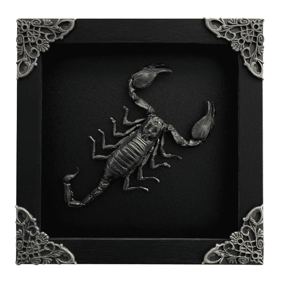 Scorpion Display Real Frame Shadow Box Insect Art Wall Decor Curiosity Cabinet Nature Decoration Gift For Women Desk Tabletop Or Wall Hanging Black Frame Home Decor K14-51-DE