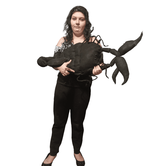 Scorpion Halloween Dcor, Blue Ribbon Ornaments