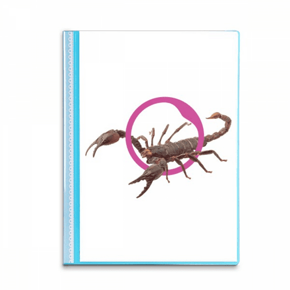 Scorpion Natural Insect Litation Book Sheet Protectors Portfolio Binder Folder