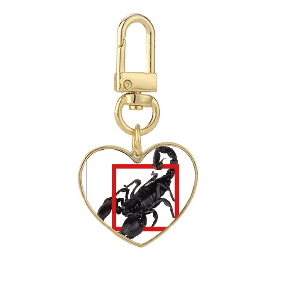 Scorpion Natural Insect Shock Gold Heart Keychain Metal Keyring Holder