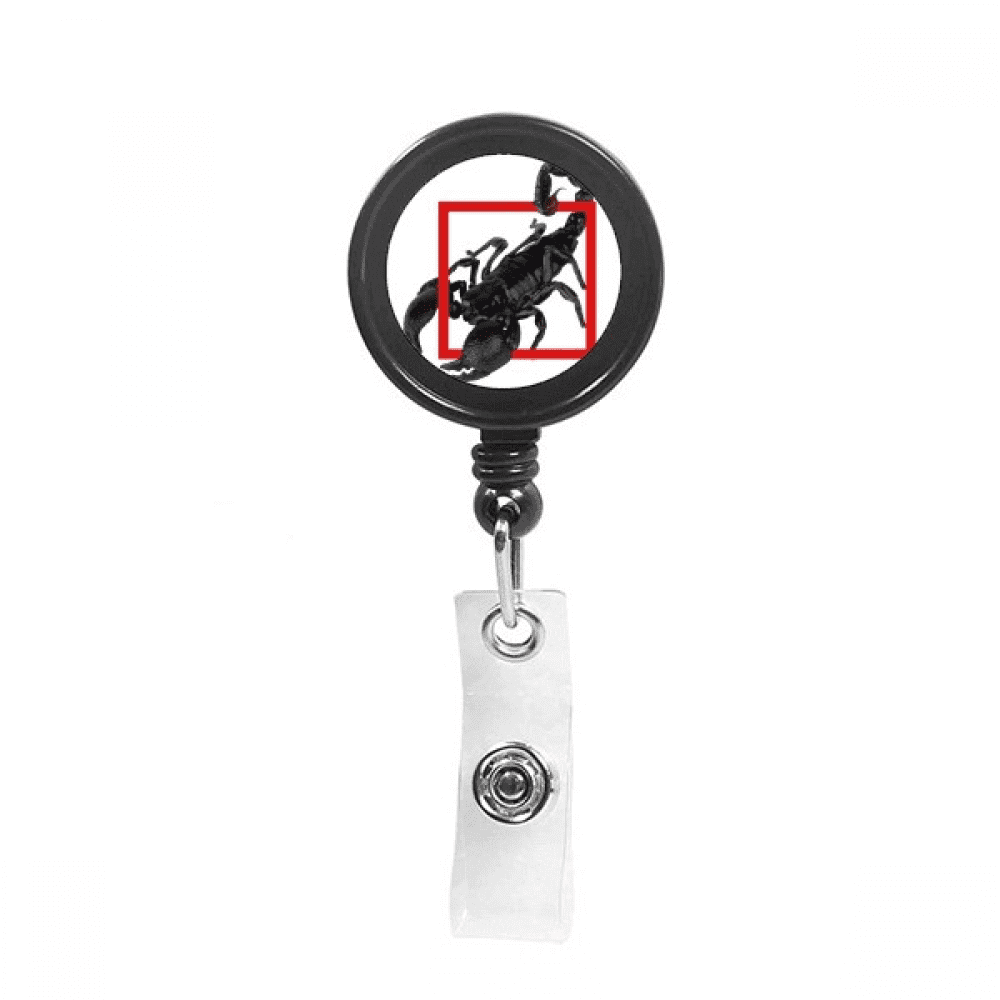Scorpion Natural Insect Shock Retractable Keychain Badge Holder ID Badge