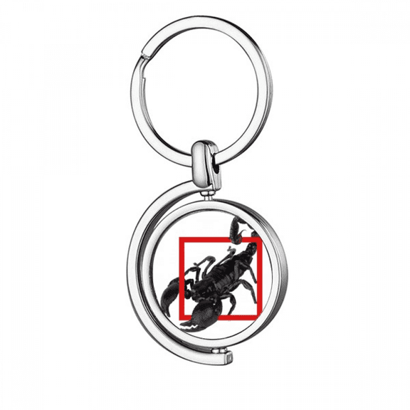 Scorpion Natural Insect Shock Rotating Keychain Metal Keyring Holder