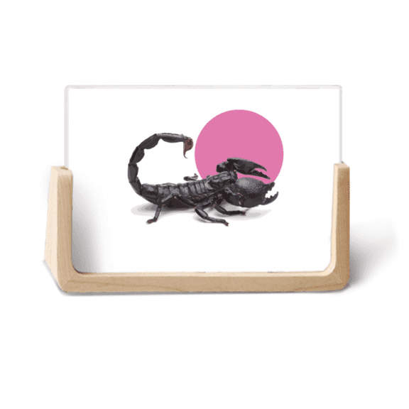 Scorpion Natural Insect Side Photo Wooden Photo Frame Tabletop Display