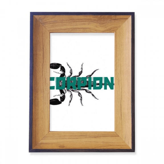 Scorpion Natural Insect Symmetry Photo Frame Exhibition Display Art Desktop Painting