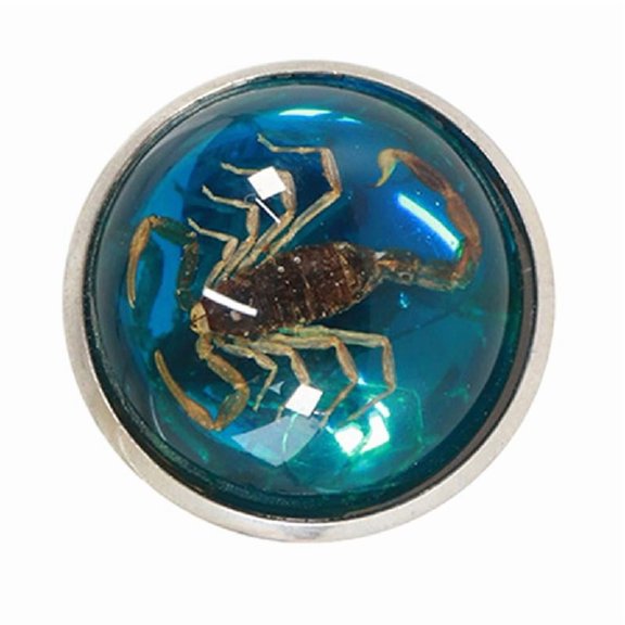 Scorpion Opening Rings Colorful Round Bottom Index Finger Rings Fashionable Jewelry Pieces Birthday Gift for Women Men