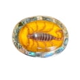 thumbnail image 1 of Scorpion Real Yellow Insect Belt Buckle Western Cowboy Rodeo Style Fashion Costume New Big Men Women, 1 of 6