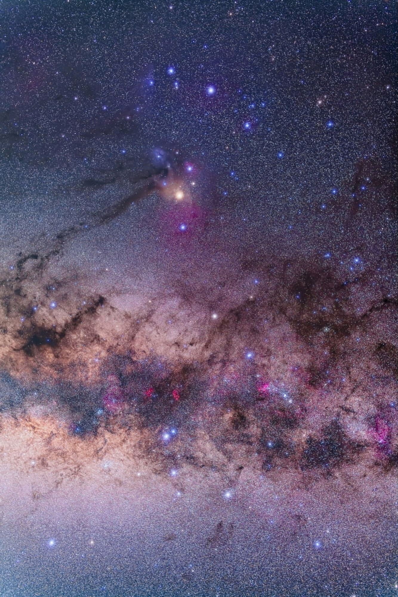 Scorpius with parts of Lupus and Ara regions of the southern Milky Way Canvas Art - Alan DyerStocktrek Images (12 x 17)