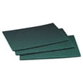 thumbnail image 1 of Commercial Scouring Pad, 6 X 9, 60/carton, 1 of 2
