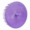 thumbnail image 1 of Scotch-Brite Roloc Body Man's Bristle Disc, 07537, 3 in 36, 1 of 2