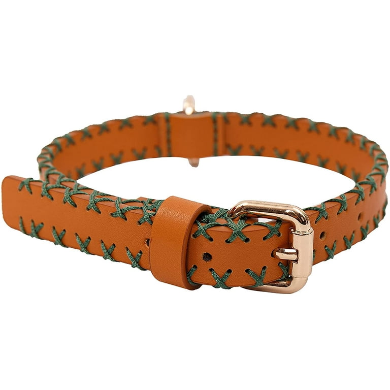 Neck band for dogs 2025