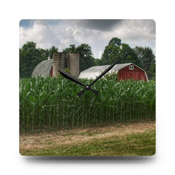 U R There Photography Scotch Settlement Reds Rustic Farmhouse Acrylic Analog Wall Clock