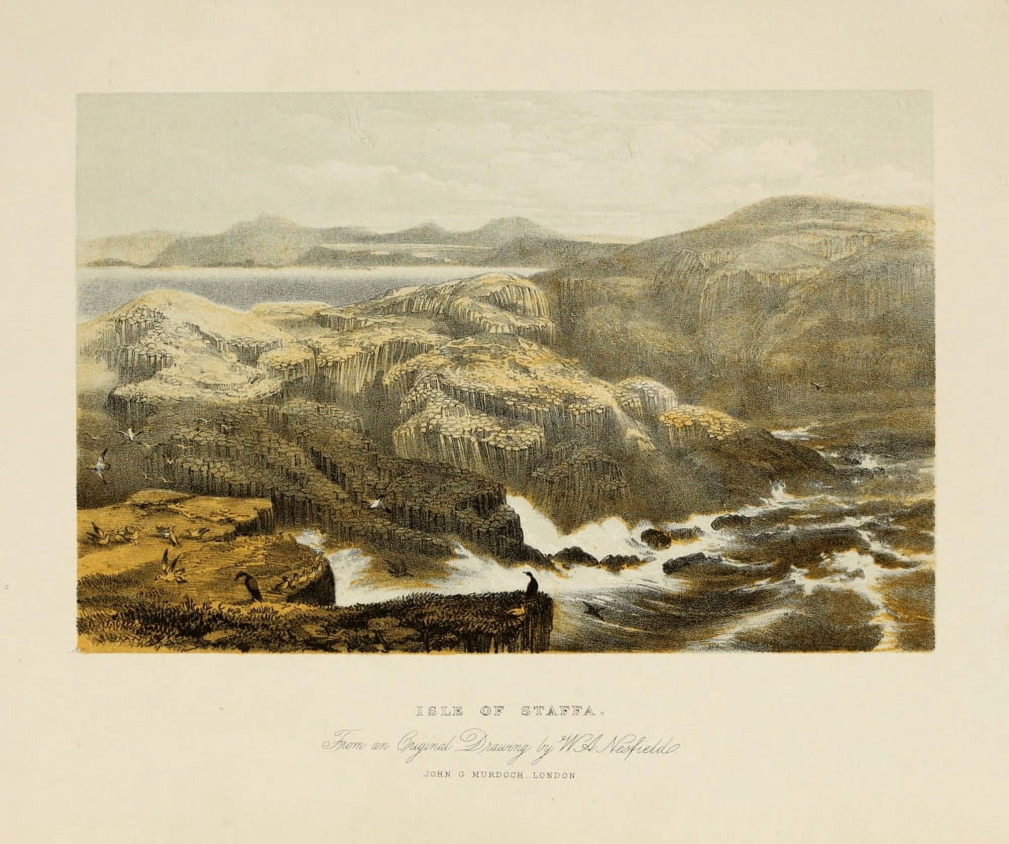 Scotland 1840 Isle of Staffa Canvas Art - William A Nesfield (24 x 36)