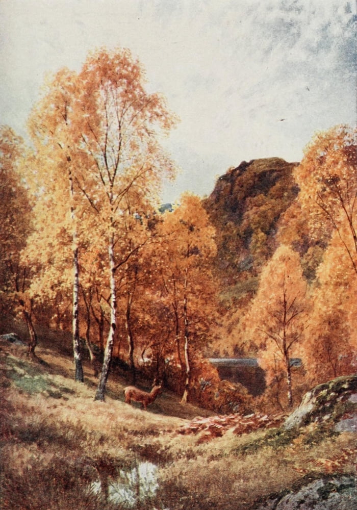 Scotland 1915 Loch Katrine Trossachs Canvas Art - Harold Sutton Palmer (24 x 36)