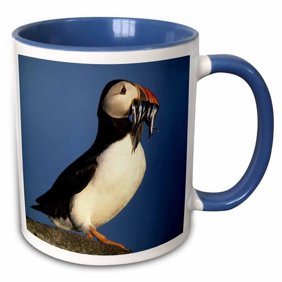 3drose, Scotland, Isle of May, Atlantic Puffin - Eu36 Ksc0006 - Kevin Schafer, 15oz Two-tone Blue Mug