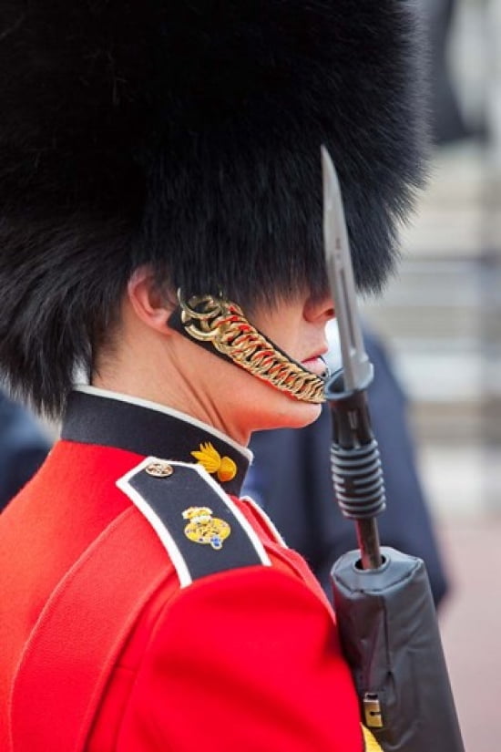 Scots Guard Buckingham Palace London England Canvas Art - Brian Jannsen DanitaDelimont (25 x 38)